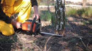  , ID Tree Services Pros